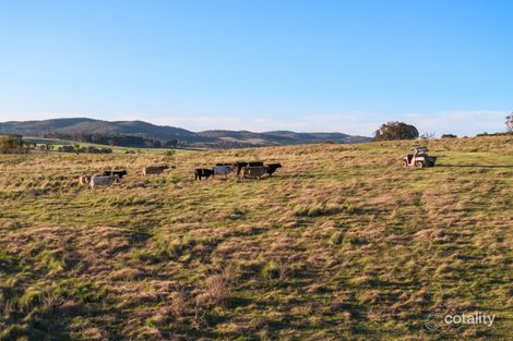 Property photo of 2814 Yass River Road Yass River NSW 2582