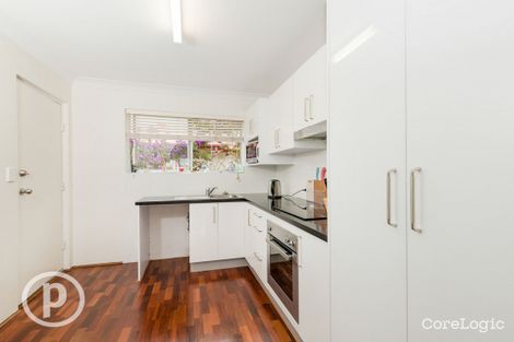 Property photo of 1/351 Hawthorne Road Hawthorne QLD 4171