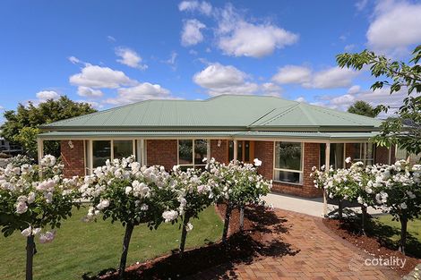 2 Campbell-Smith Ct, Newnham, TAS 7248