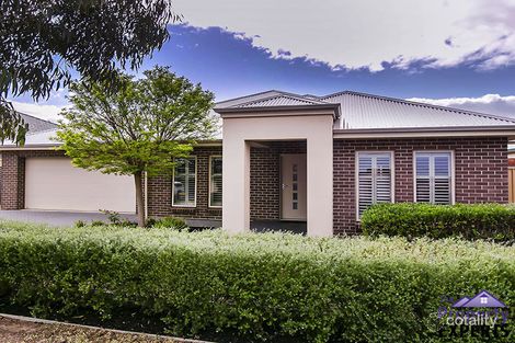 Property photo of 7 Mistletoe Street Aldinga Beach SA 5173