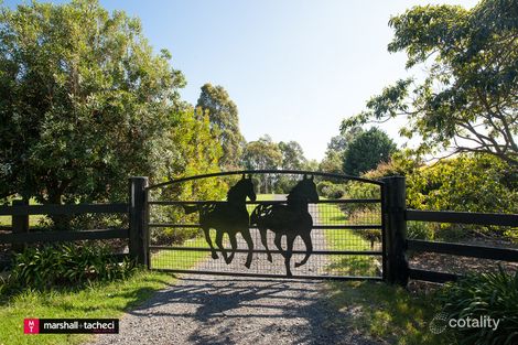 146 Coolagolite Rd, Coolagolite, NSW 2550