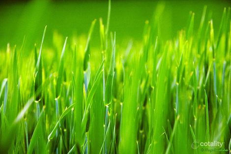 27 Terrigal Cres, Kilsyth, VIC 3137