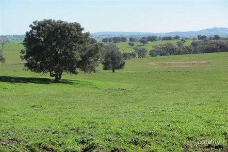 152 Emu Plains Rd, Pulletop, NSW 2650