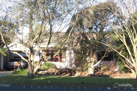 73 Radnor St, Camberwell, VIC 3124