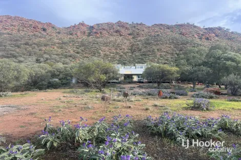 989 Ilparpa Rd, White Gums, NT 0870