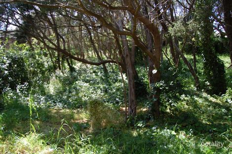 Property photo of 95 Canterbury Jetty Road Rye VIC 3941