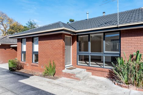 Property photo of 6/11 Wisewould Avenue Seaford VIC 3198