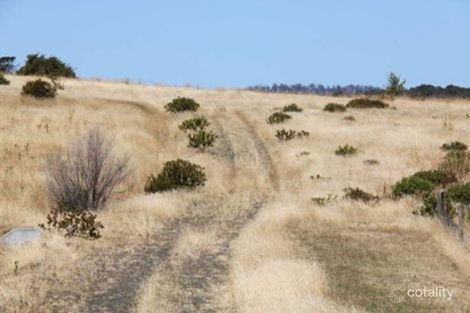 Property photo of 17 Sollamer Place Otago TAS 7017