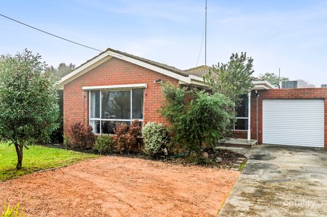 2/41 Rugby St, Belmont, VIC 3216