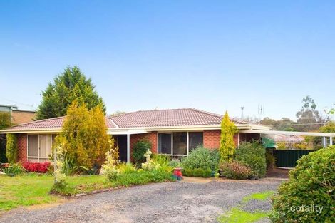 Property photo of 31 Carol Street Castlemaine VIC 3450