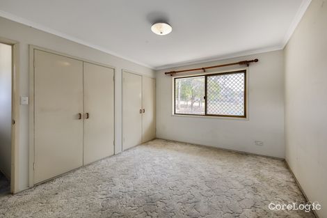 Property photo of 1 Langham Street Tarragindi QLD 4121