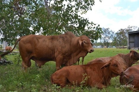 696 Lake Mary Rd, Lake Mary, QLD 4703