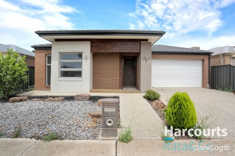 52 Blackcurrant Cct, Mernda, VIC 3754