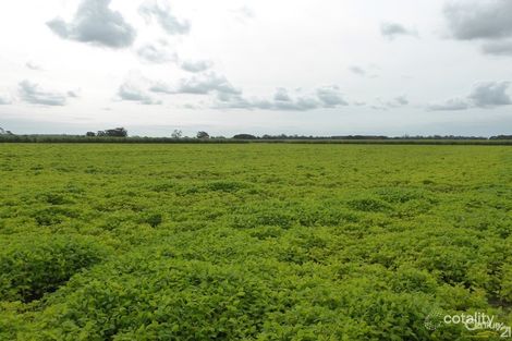 108 Stibbard Lane, Green Forest, NSW 2471