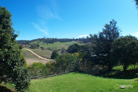 Property photo of 11 Candelo Street Candelo NSW 2550