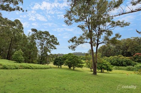 Property photo of 357 Diddillibah Road Diddillibah QLD 4559