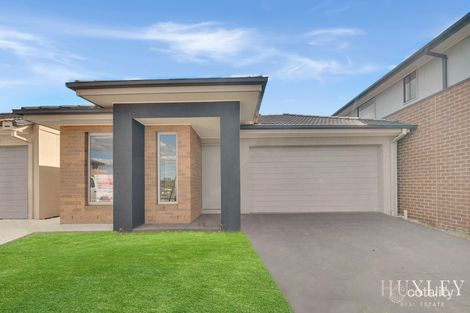 16 Protea Lane, Cobblebank, VIC 3338