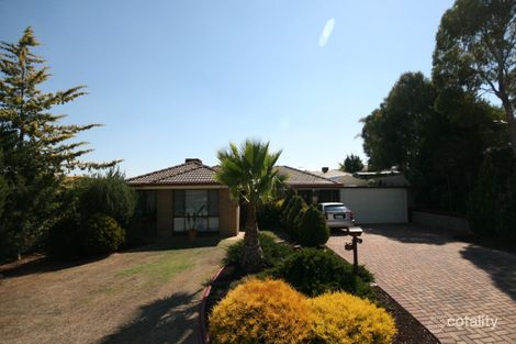 17 Muscatel Cct, Old Reynella, SA 5161