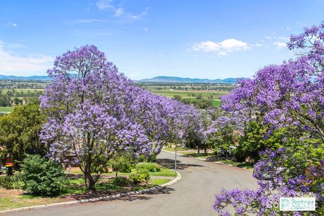 Property photo of 17 Jacaranda Place Oxley Vale NSW 2340