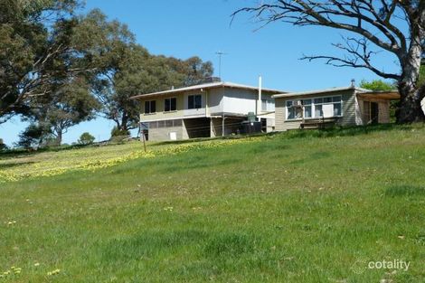 555 Goorambat-Thoona Rd, Goorambat, VIC 3725