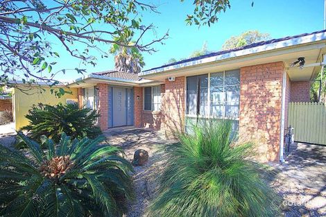 Property photo of 236 Langford Drive Kariong NSW 2250
