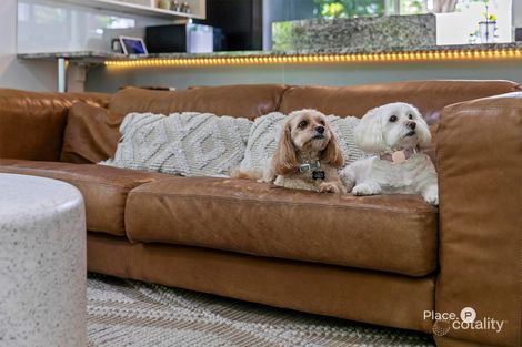 Property photo of 1/18 Addison Avenue Bulimba QLD 4171