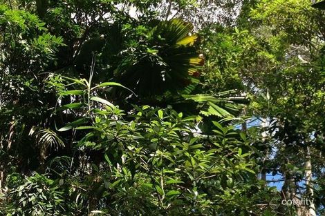 Property photo of 36 Gregory Terrace Kuranda QLD 4881