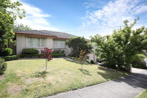 Property photo of 11 Panfield Avenue Ringwood VIC 3134