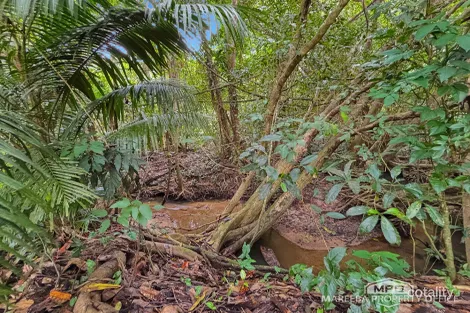 Property photo of 64 Sides Road Julatten QLD 4871