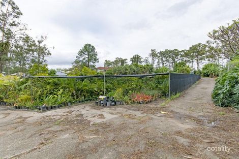 Property photo of 142 Dowding Street Oxley QLD 4075