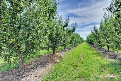 90-92 Prentice Rd, Orrvale, VIC 3631