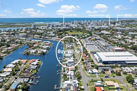 Property photo of 42 Tepequar Drive Maroochydore QLD 4558