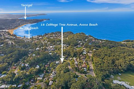 Property photo of 18 Cabbage Tree Avenue Avoca Beach NSW 2251
