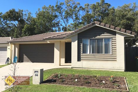 Property photo of 36 Riley Peter Place Cleveland QLD 4163