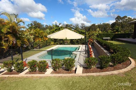 Property photo of 13 River Gum Drive Diddillibah QLD 4559