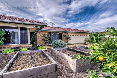 Property photo of 10 Gilbride Cove Atwell WA 6164