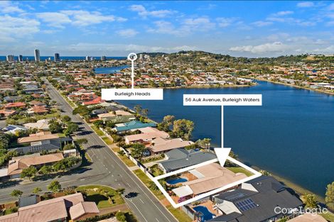 Property photo of 56 Auk Avenue Burleigh Waters QLD 4220