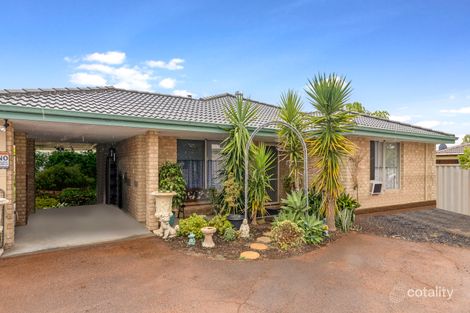 Property photo of 17 Songlark Mews Geographe WA 6280