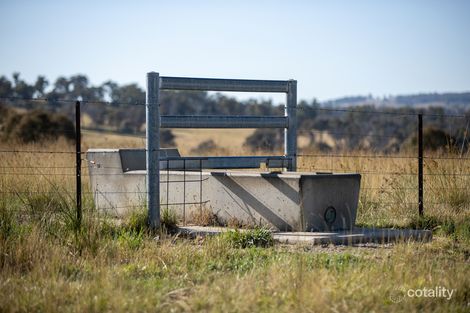 141 Brushy Creek Rd, Brushy Creek, NSW 2365