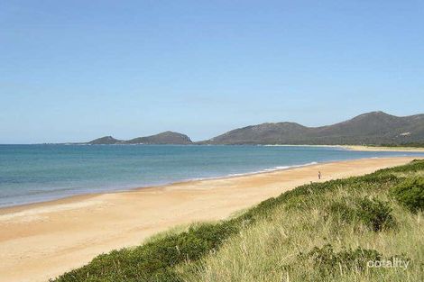 Property photo of 14 Honey Richea Road Hellyer TAS 7321