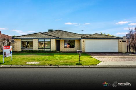 Property photo of 19 Daintree Loop Bertram WA 6167
