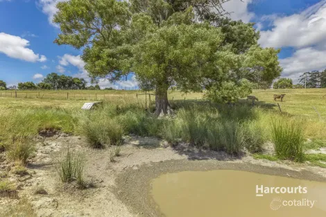 Property photo of 136 Lennah Drive Wynyard TAS 7325