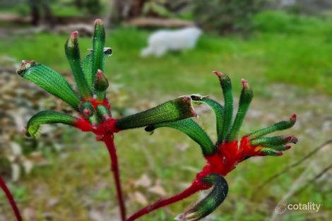 315 Grand Valley Dr, Chidlow, WA 6556