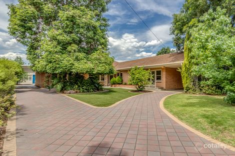 20 Wattle Ave, Lower Mitcham, SA 5062