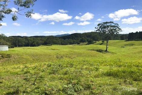 203 Cooks Rd, Elands, NSW 2429