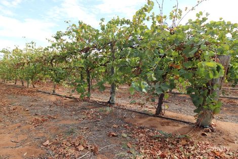 Lot 1 Hill Rd, Sunlands, SA 5322