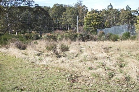 45 Lee St, Rossarden, TAS 7213