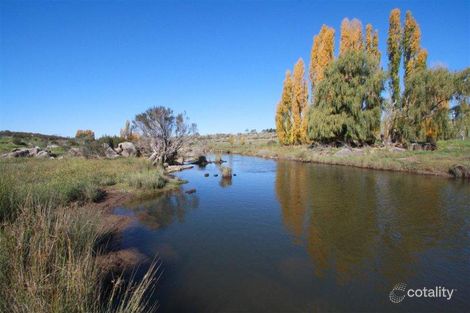Property photo of 159 Werralong Road Dalgety NSW 2628