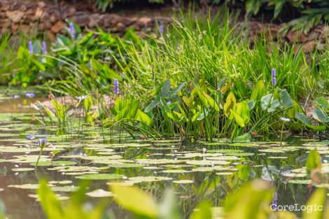 Property photo of 14 Mango Court Doonan QLD 4562