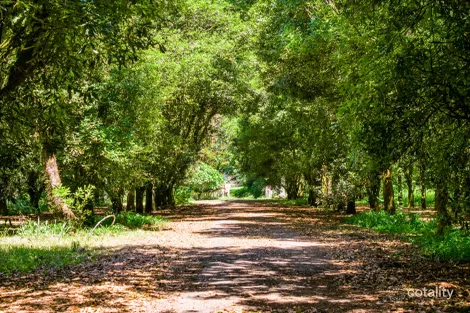 99 Rocky Creek Dam Rd, Dunoon, NSW 2480